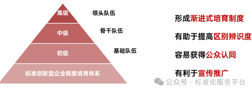 近期大火的标准创新型企业，你还不来吗？